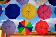 夢(mèng)中的雨意，夢(mèng)中的雨意，詩(shī)意與情感的交織。