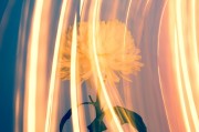 CCG（Collective Content Game），一個(gè)讓玩家盡情探索的免費(fèi)游戲世界，自由探索，無拘無束！體驗(yàn)CCG的魅力，免費(fèi)游戲世界之旅