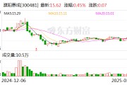 濮陽惠成：古雷項目目前已經(jīng)建設完成