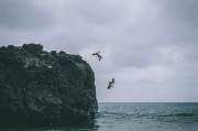 沐浴夢(mèng)境，夢(mèng)到洗澡的深度解析，沐浴夢(mèng)境，夢(mèng)到洗澡的深度解析
