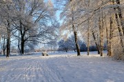 冰雪奇緣游戲——讓你置身于一個全新的冰雪世界！，冰雪奇緣冒險，沉浸式游戲體驗帶你穿越奇妙冰雪世界