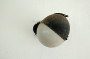 夢(mèng)境中的蛆——探索內(nèi)心深處的象征意義，夢(mèng)境中的蛆，探索內(nèi)心深處的象征意義