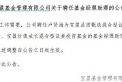 罕見！寶盈基金詭異的基金經(jīng)理變動！