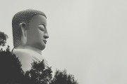 夢中之旅，與他人共度的奇妙時光，夢中之旅，與他人共度的奇妙時光