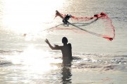 夢(mèng)到魚(yú)，探尋其深層含義，夢(mèng)到魚(yú)，探尋其深層心理含義
