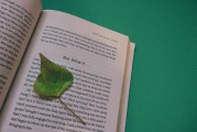 湖南校園注冊攻略，輕松開啟你的大學(xué)生活，湖南校園注冊全攻略，輕松邁入大學(xué)生活新篇章