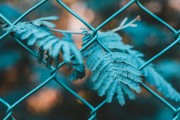 SEO是什么？，簡要解析，理解SEO的基本概念和術語