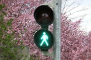 新車輪胎發(fā)黃的原因是什么？如何預(yù)防和處理這一問題？