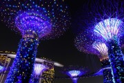 藍球之夢，一場夢幻的籃球之旅，藍球之夢，一場夢幻的籃球之旅