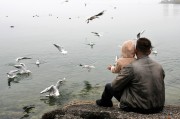 馬斯克，突發(fā)！海湖莊園傳來(lái)大消息，全球數(shù)百萬(wàn)人大集結(jié)……