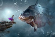夢中捉魚，一場與魚的奇妙邂逅，夢中捉魚，一場與魚的奇妙邂逅