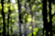 解密無限游戲——免費手機解密游戲的帶你探索未知世界，一鍵破解，揭秘?zé)o窮游戲，解鎖無限世界
