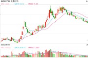 電解液“一哥”天賜材料業(yè)績再腰斬，比兩年前少賺50億元