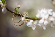 夢(mèng)中之筆，一篇關(guān)于夢(mèng)到文章的探索