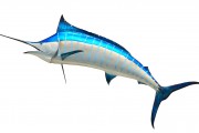 無(wú)限制的海洋冒險(xiǎn)，游戲釣魚(yú)免費(fèi)下載體驗(yàn)，無(wú)盡海洋，魚(yú)類(lèi)垂釣樂(lè)趣無(wú)窮！輕松下載并享受游戲捕魚(yú)的樂(lè)趣