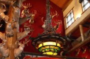 游戲盛宴，盤(pán)點(diǎn)市面上最熱門(mén)的免費(fèi)網(wǎng)游游戲大全，年度爆款免費(fèi)網(wǎng)游盤(pán)點(diǎn)，你最?lèi)?ài)的是哪一款？