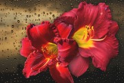 妃容天下游戲全線上免費(fèi)！你還在等什么？這款以歷史背景和精美畫面為題材的手機(jī)游戲，即將在全線上全面開啟。，妃容天下手游預(yù)約開啟