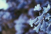 夢(mèng)游菜地，一場(chǎng)與自然的對(duì)話，夢(mèng)游菜地，與自然的對(duì)話之旅