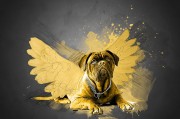 夢(mèng)到路上撿錢(qián)，財(cái)富的預(yù)兆還是虛幻的夢(mèng)？