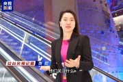 1100多位中德商界人士參與這次會(huì)議 他們說(shuō)“我們離不開(kāi)中國(guó)”