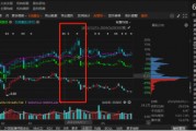 祥源文旅非經(jīng)營性資金占用雖已歸還，但仍被出具警示函！
