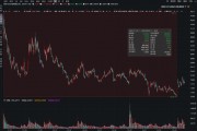 上市股價(jià)最大跌幅超73%！利揚(yáng)芯片業(yè)績(jī)?nèi)孓D(zhuǎn)虧、風(fēng)險(xiǎn)因素不斷積累