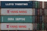 流量費(fèi)網(wǎng)站的崛起與影響，流量費(fèi)網(wǎng)站的發(fā)展與趨勢，對消費(fèi)者和運(yùn)營商的影響
