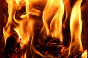 行尸走肉游戲免費(fèi)下載，讓你在末日中找尋生存之道，高清免費(fèi)的行尸走肉游戲大放送，末世求生必備神器