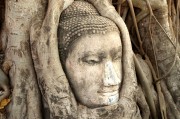 游戲中的情感釋放，憤怒與自由，深度解析，游戲中的情感釋放、憤怒與自由