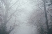 夢境中的奇妙之旅，一次關(guān)于屎的夢境解析，夢境中的奇幻之旅，屎的夢境解析