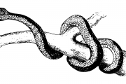 夢(mèng)魘之蛇，蛇咬與反擊的夢(mèng)境解析，夢(mèng)魘之蛇，蛇咬與反擊的夢(mèng)境解析
