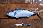 夢(mèng)到抓到好多魚的啟示與感悟