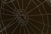 Unity開發(fā)的概述，Unity，創(chuàng)建3D游戲和應(yīng)用程序的強大工具
