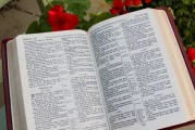團員證漏注冊怎么辦？全方位解答您的困惑，團員證注冊遺漏解決方案全解析