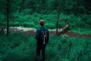 憤怒的小鳥2免費(fèi)游戲，開啟你的綠色飛行之旅