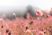 夢(mèng)中偶遇，那突然的相遇