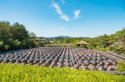 打造空中農(nóng)田，讓夢想照進(jìn)現(xiàn)實(shí)——免費(fèi)種地游戲的探索與啟示，空中農(nóng)田，挑戰(zhàn)、機(jī)遇與啟示——一個(gè)免費(fèi)種地游戲的探討