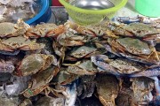 夢中奇遇，螃蟹與魚的共舞，夢中奇遇，螃蟹與魚的共舞