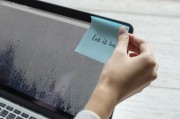 網(wǎng)站流量傳輸方式解析，揭秘高效穩(wěn)定的網(wǎng)絡(luò)世界