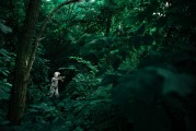 夢境中的你，一場奇妙的套路之旅，夢境中的奇妙套路之旅
