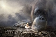 夢中的預(yù)言者——一次奇妙的算命夢，夢中的預(yù)言者，奇妙的算命夢之旅