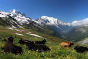 自由的纜車上山之旅，纜車旅行，一次自由探索山區(qū)的美妙體驗(yàn)