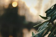 漫漫的ACG之路，尋找和熱愛的那份樂趣，ACG之路上，探索與熱愛的樂趣
