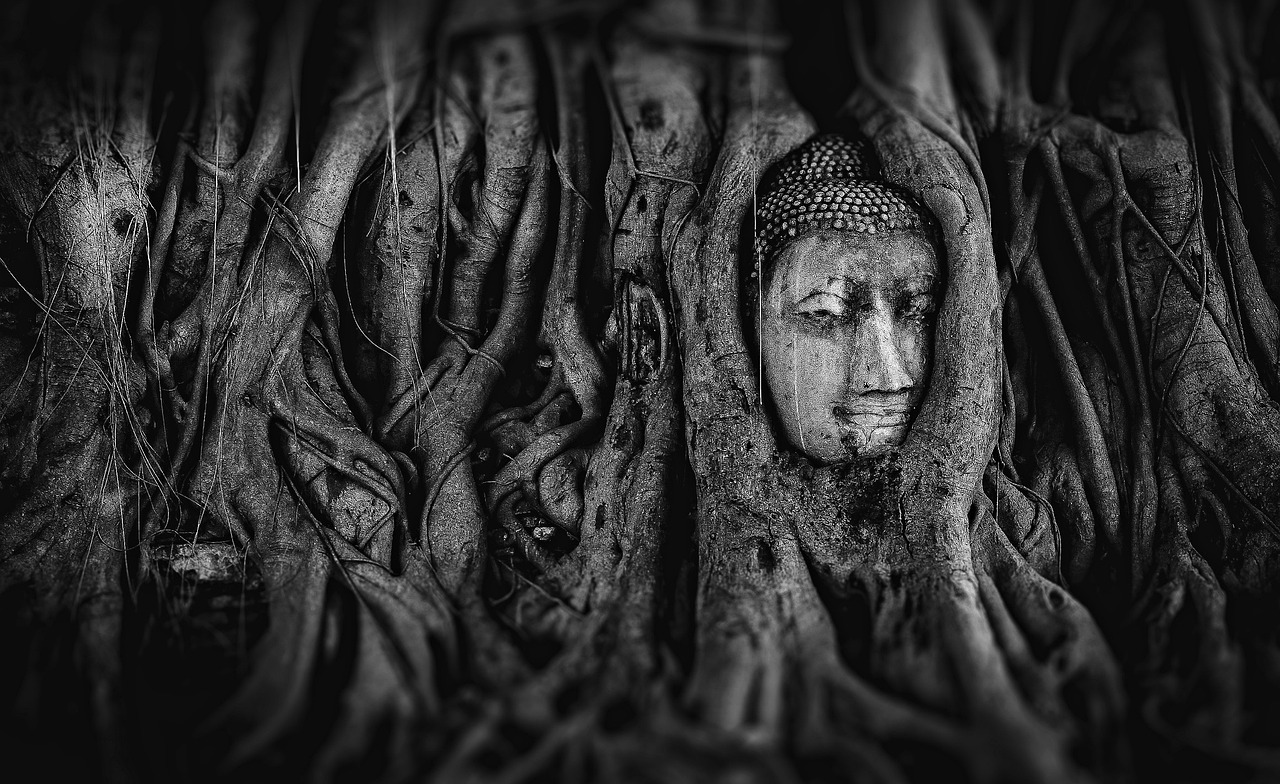 夢(mèng)中的巨蟒，一場(chǎng)神秘的夢(mèng)境之旅