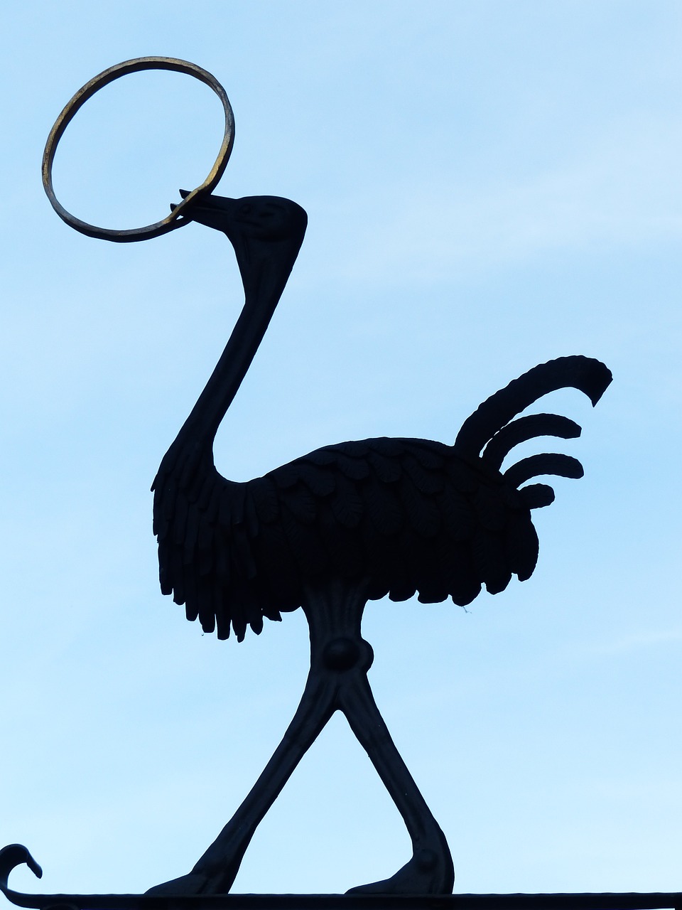 夢(mèng)中的魚(yú)咬人，解讀與解析