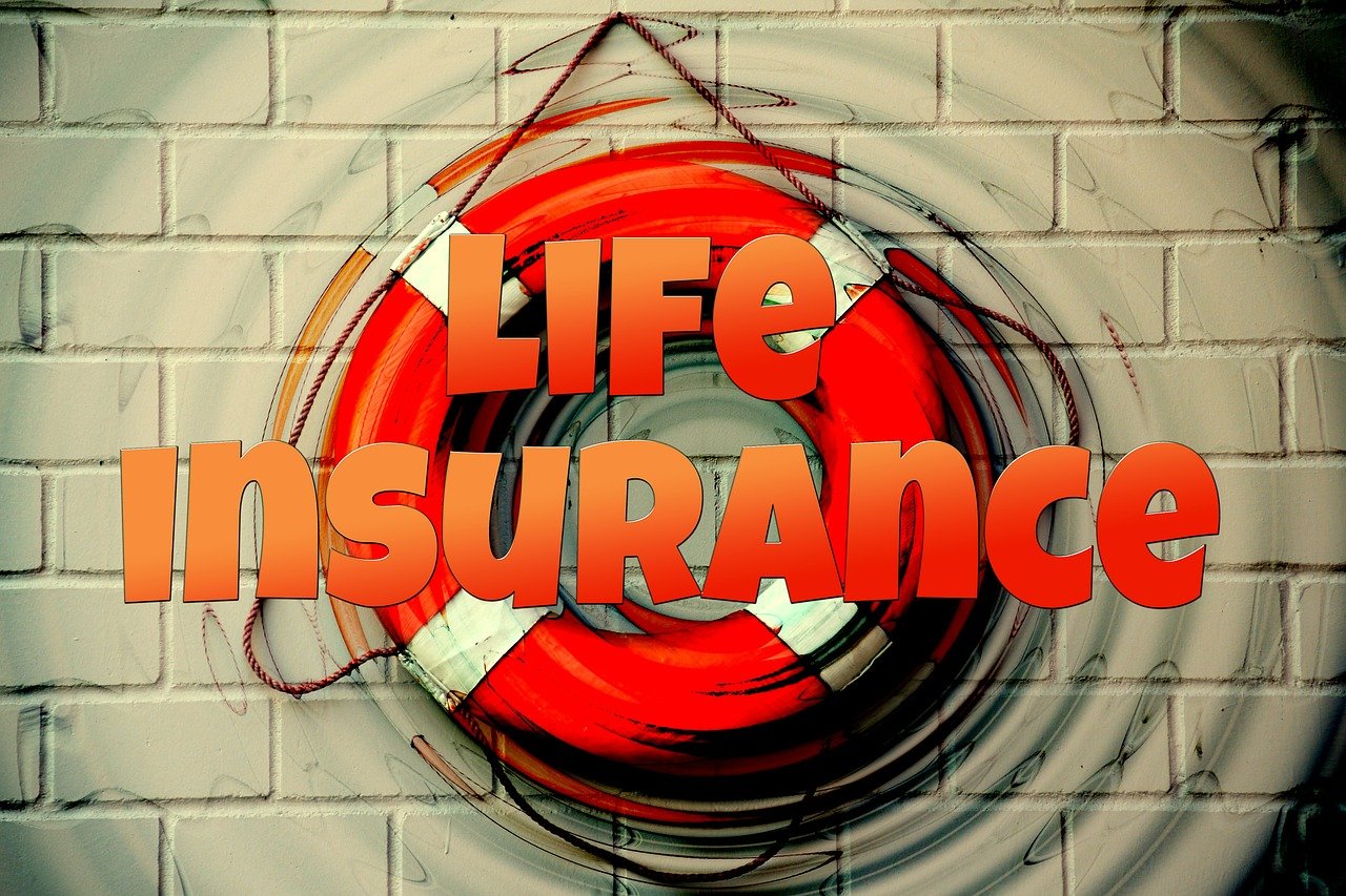 bit life，一款讓你暢享在線游戲樂趣的免費(fèi)游戲