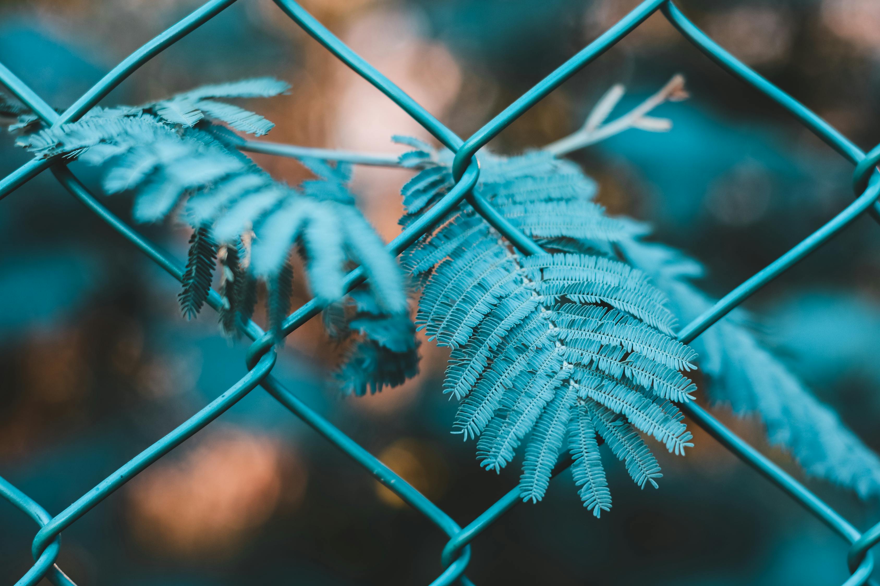 如何進行有效的網站SEO優(yōu)化？