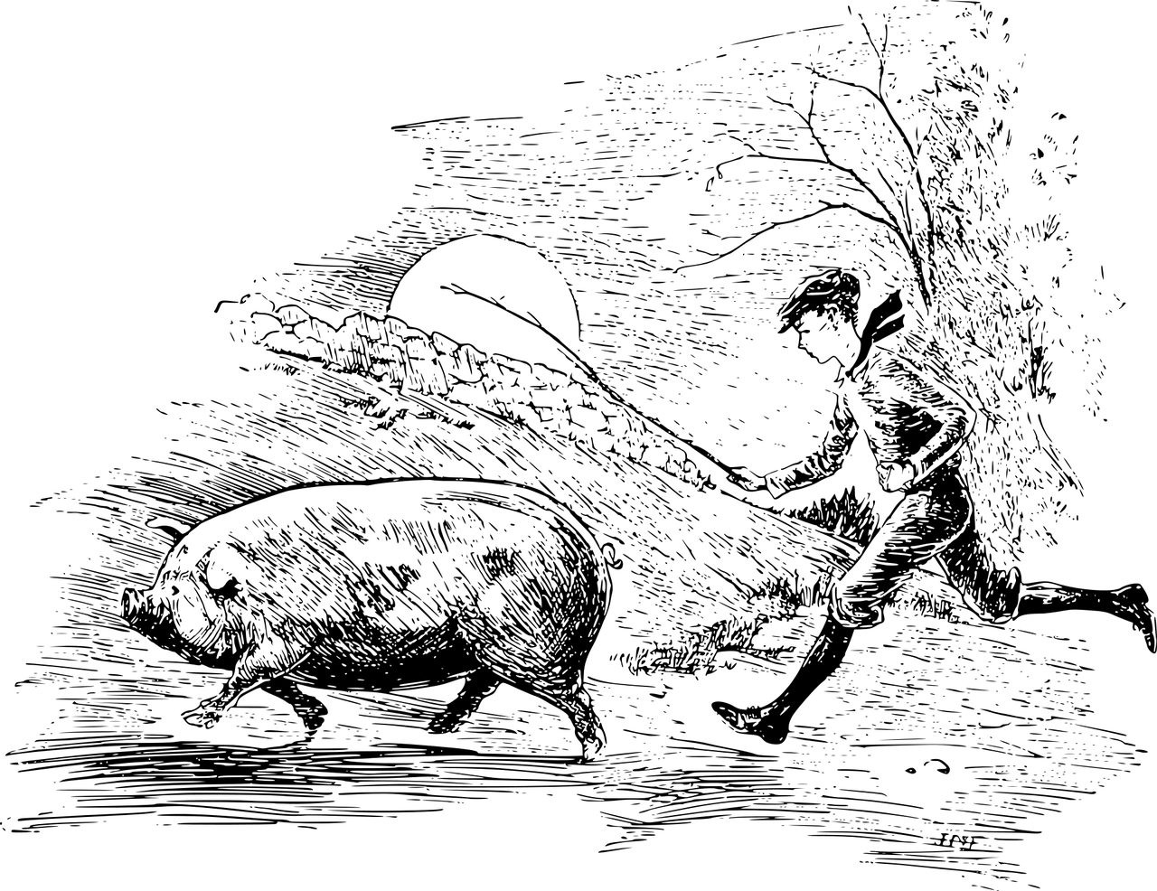 男人夢(mèng)到豬，寓意與解讀
