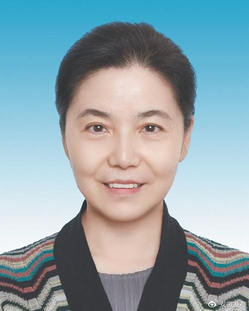 重磅！丁向群出任中國(guó)人保黨委書記