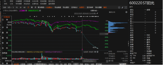 江蘇陽光有非經(jīng)營性資金占用和業(yè)績預(yù)告變臉！